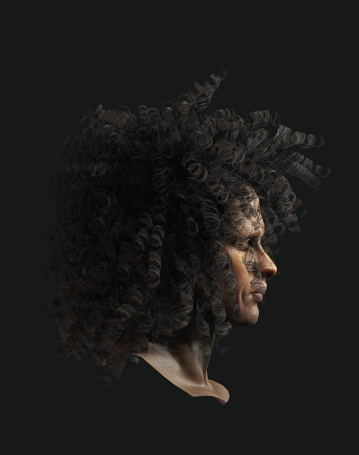 Afro Curly Hair Low-poly 3D model_4