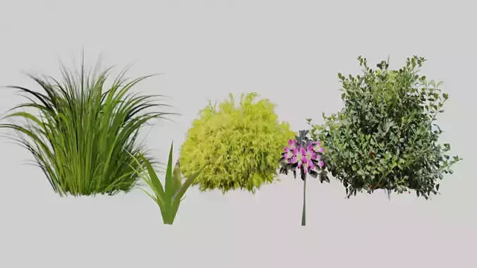 Forest Foliage And shrubs