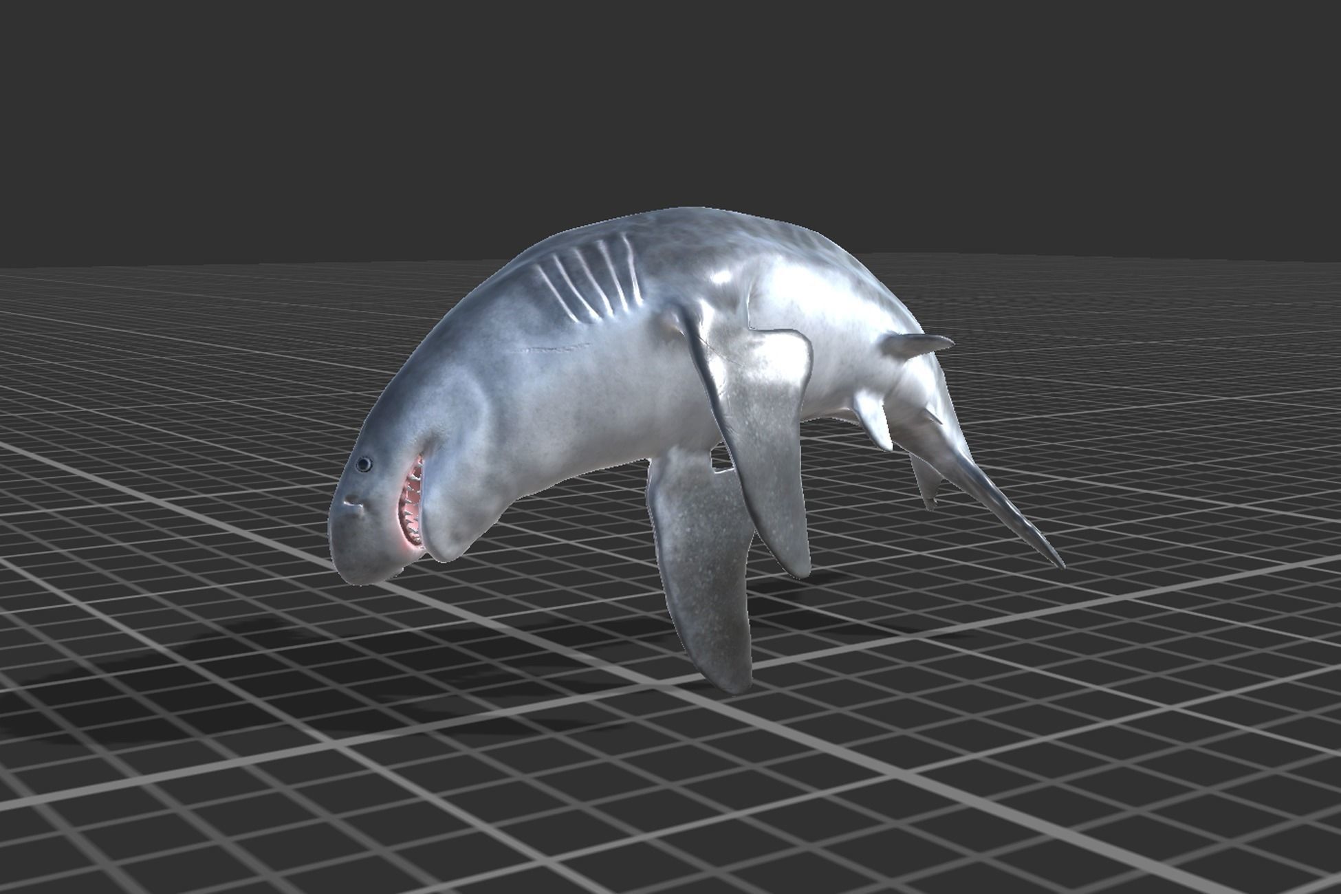 Tiger Shark Low-poly 3D model_8