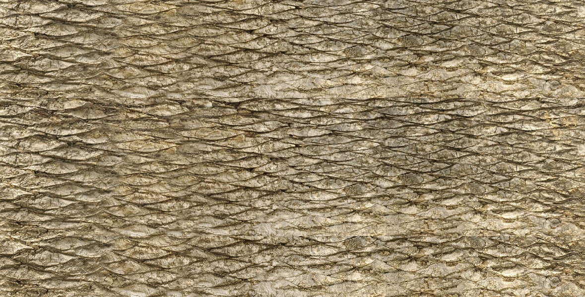 Dark Fantasy neo classical 3D model_12