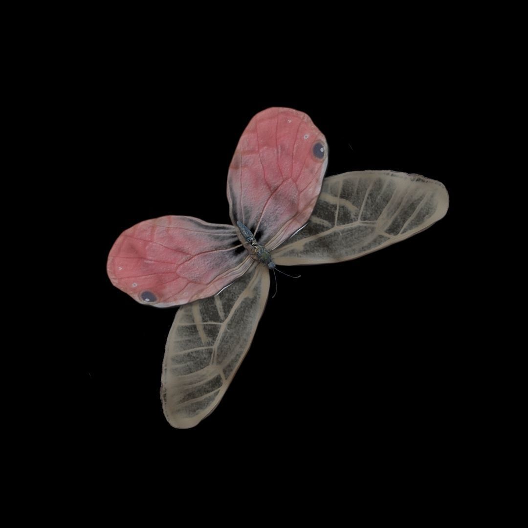 Butterflies Animated  3D model_19