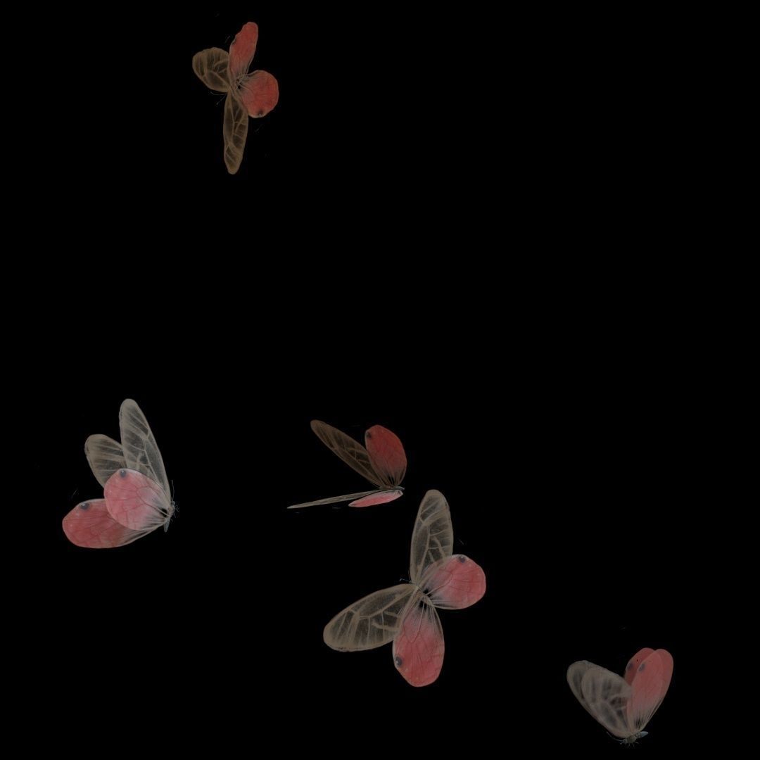 Butterflies Animated  3D model_3