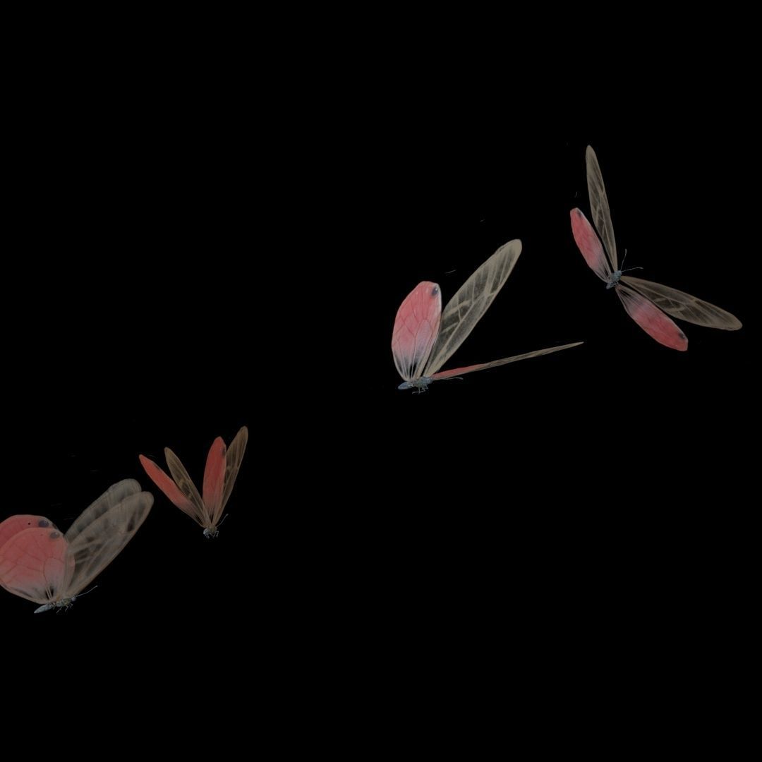 Butterflies Animated  3D model_7