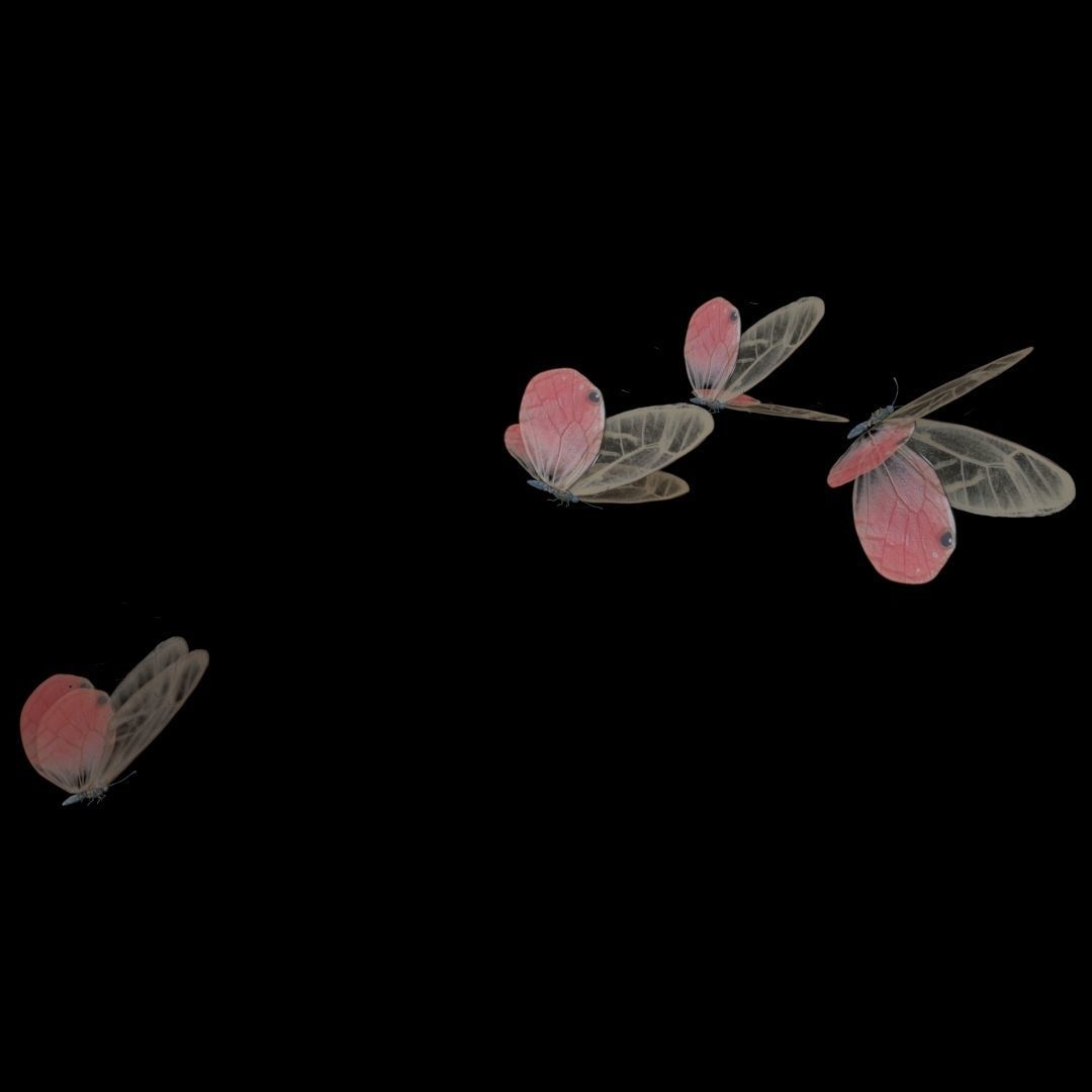 Butterflies Animated  3D model_23