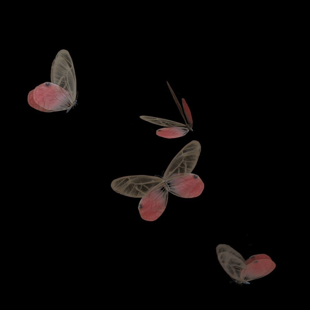 Butterflies Animated  3D model_20