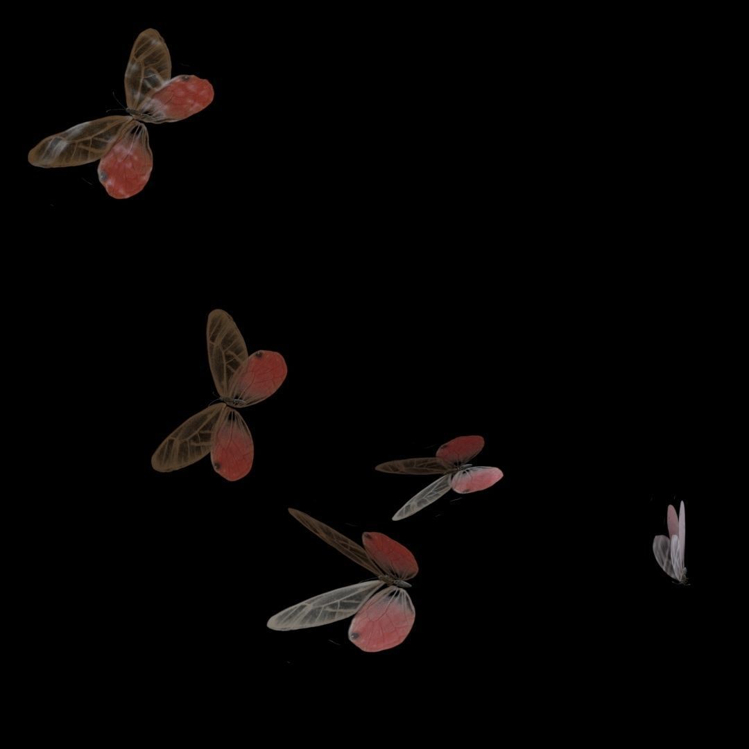 Butterflies Animated  3D model_5