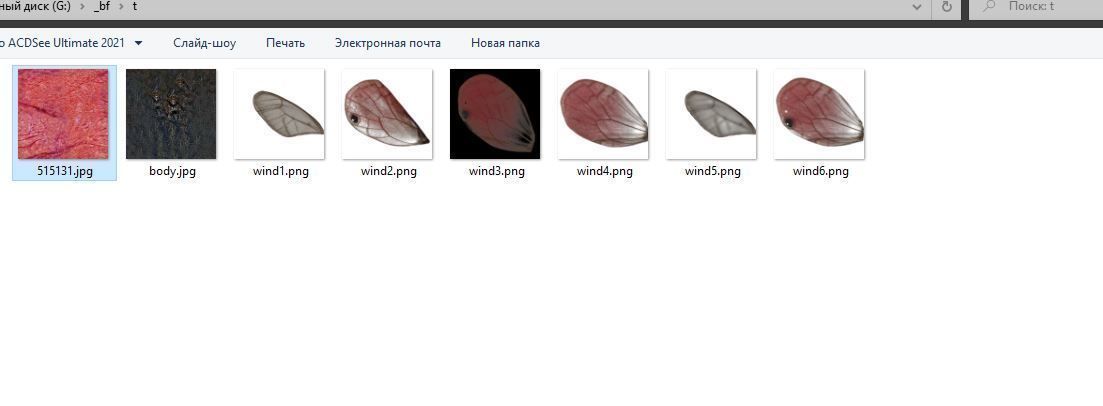 Butterflies Animated  3D model_8