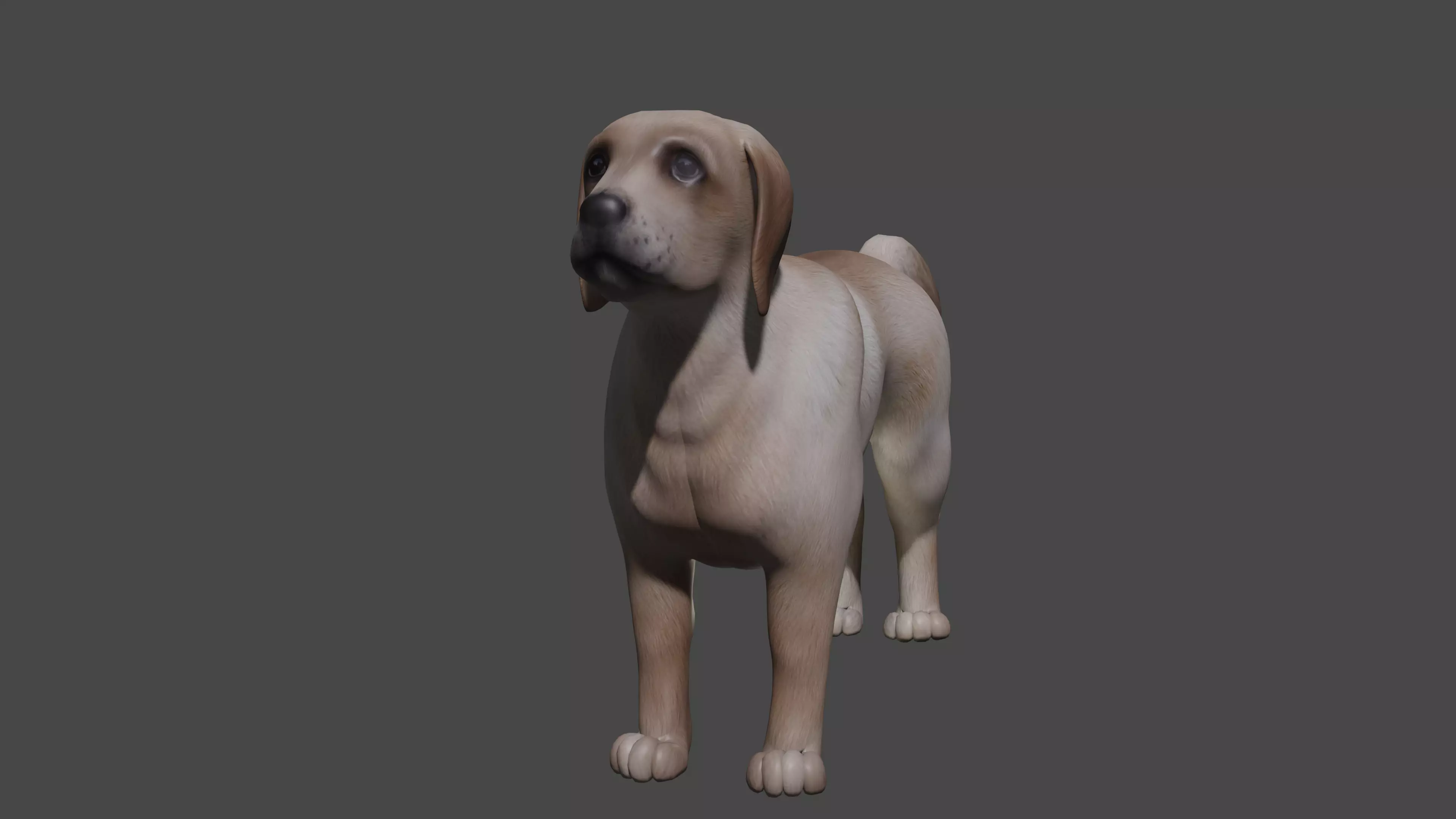 Labrador Dog Breed 3D Model for Games and VR Low-poly 3D model_0