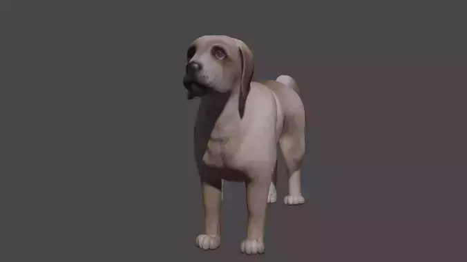 Labrador Dog Breed 3D Model for Games and VR