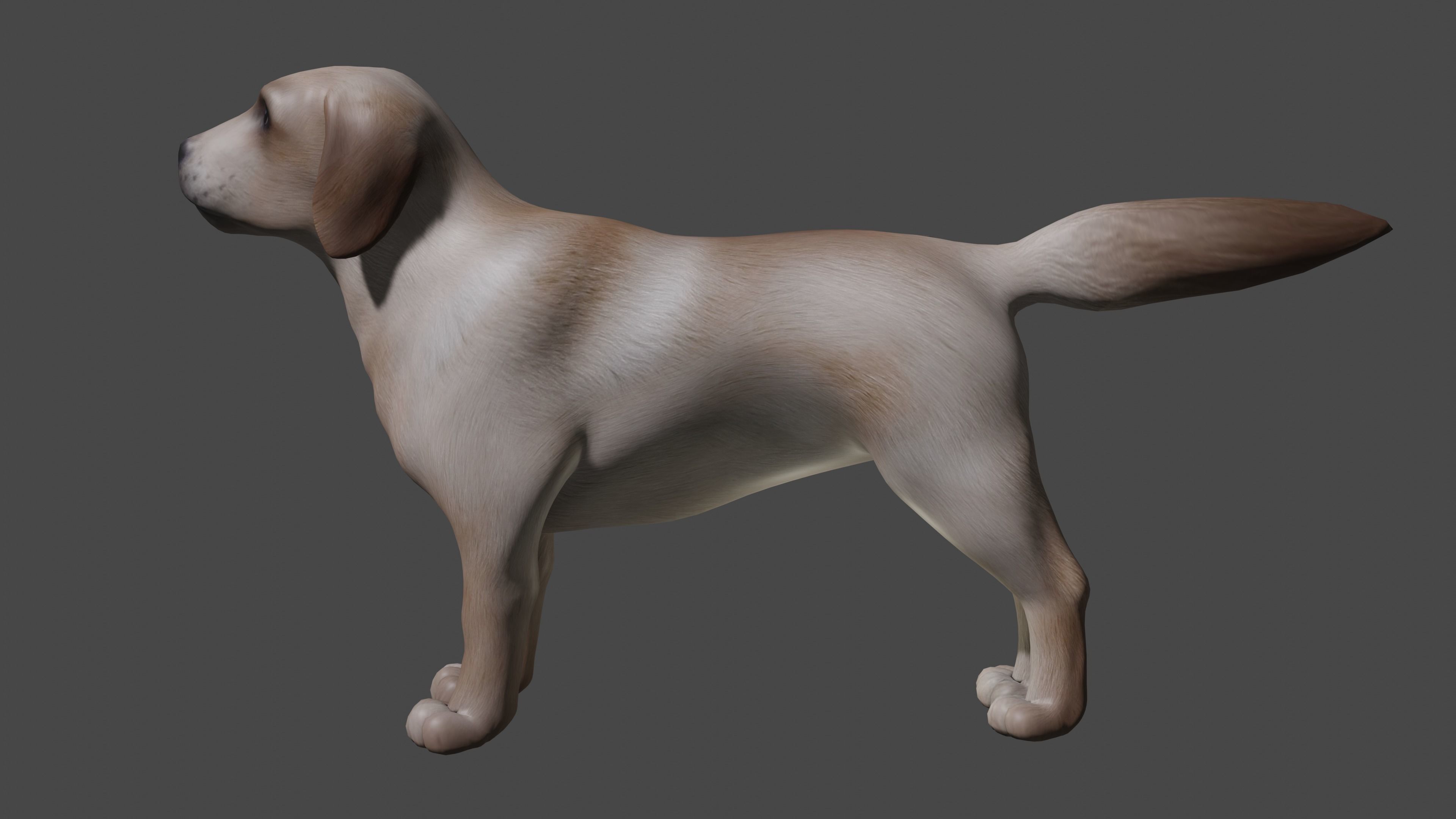 Labrador Dog Breed 3D Model for Games and VR Low-poly 3D model_1