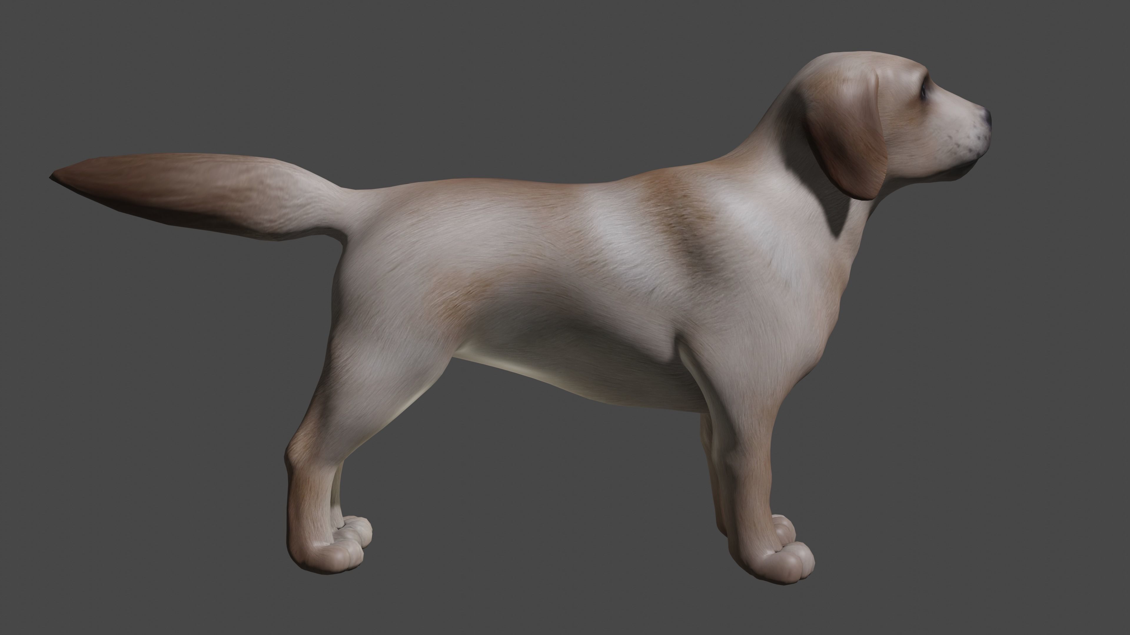 Labrador Dog Breed 3D Model for Games and VR Low-poly 3D model_2