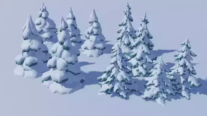 Fir tree in the snow