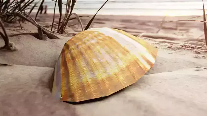 3D-Scanned Seashell Low-poly 3D model