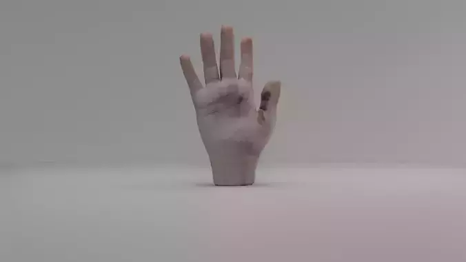 3D Hand Animated Rigged Low-poly 3D model