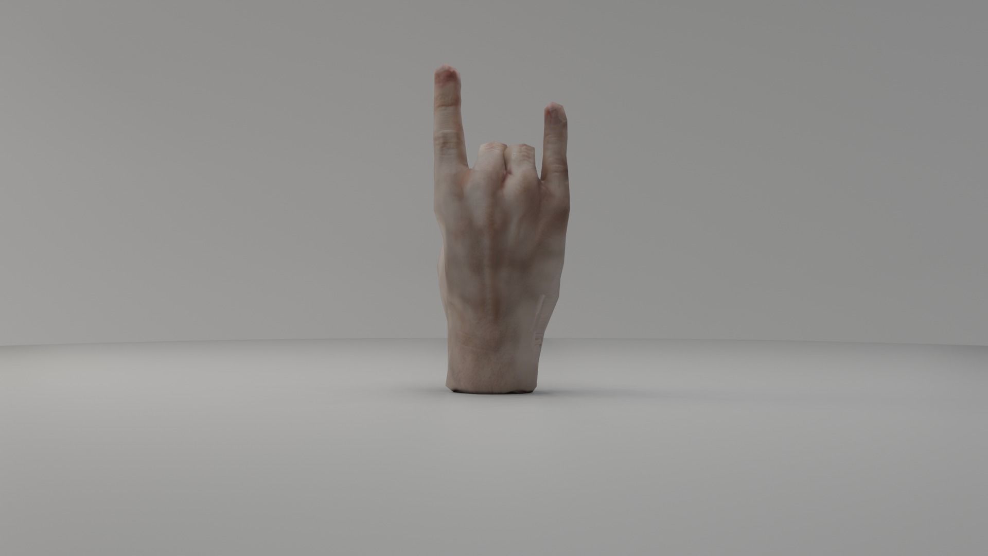 3D Hand Animated Rigged Low-poly 3D model_8