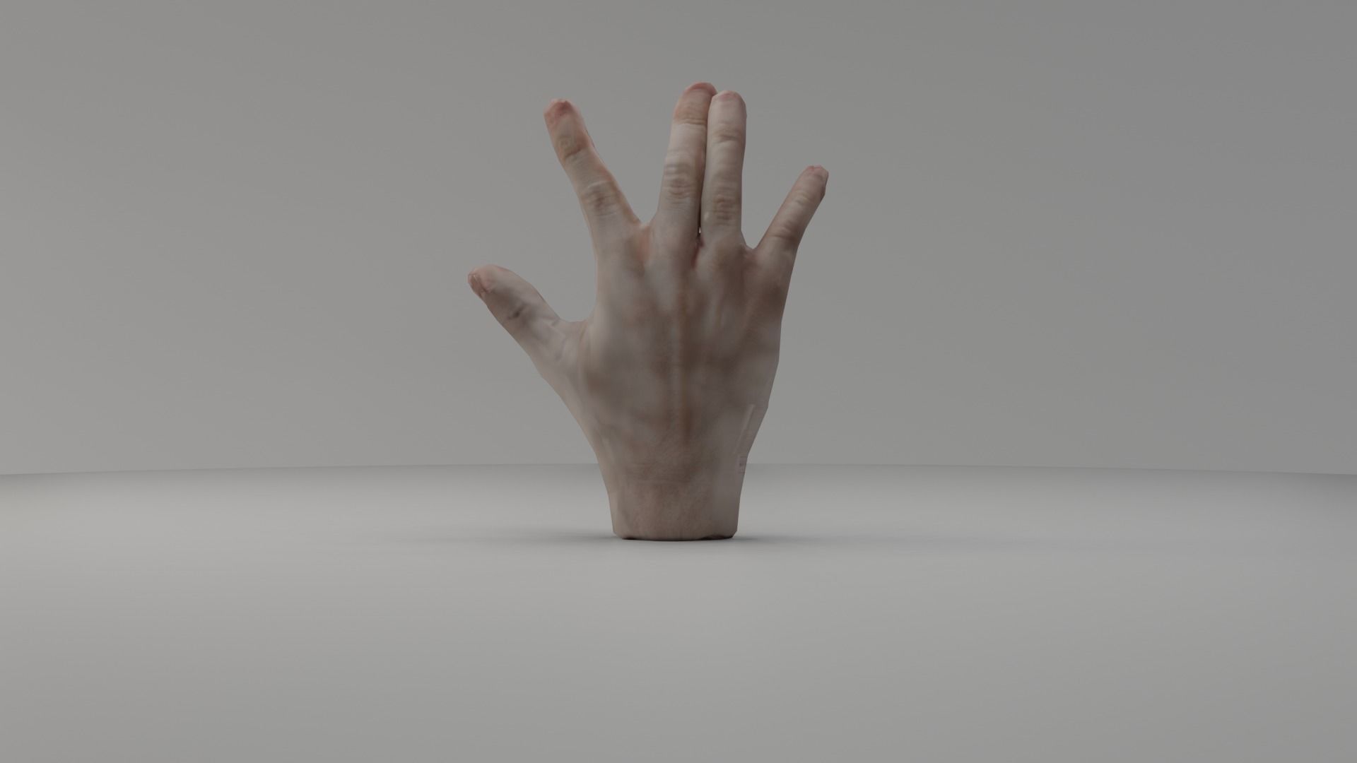 3D Hand Animated Rigged Low-poly 3D model_5