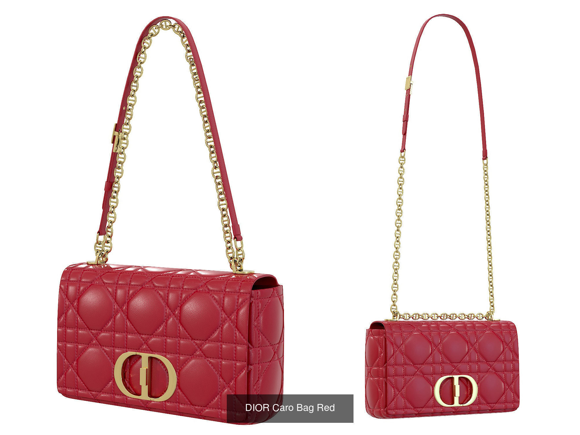 DIOR Caro Bag 3D Model Collection_5