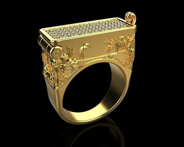 Secret Compartment ring  128  3D print model