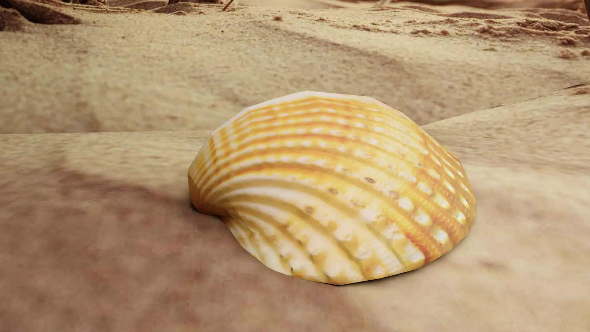3D-Scanned Seashells - 2nd Set of 3 Low-poly 3D model