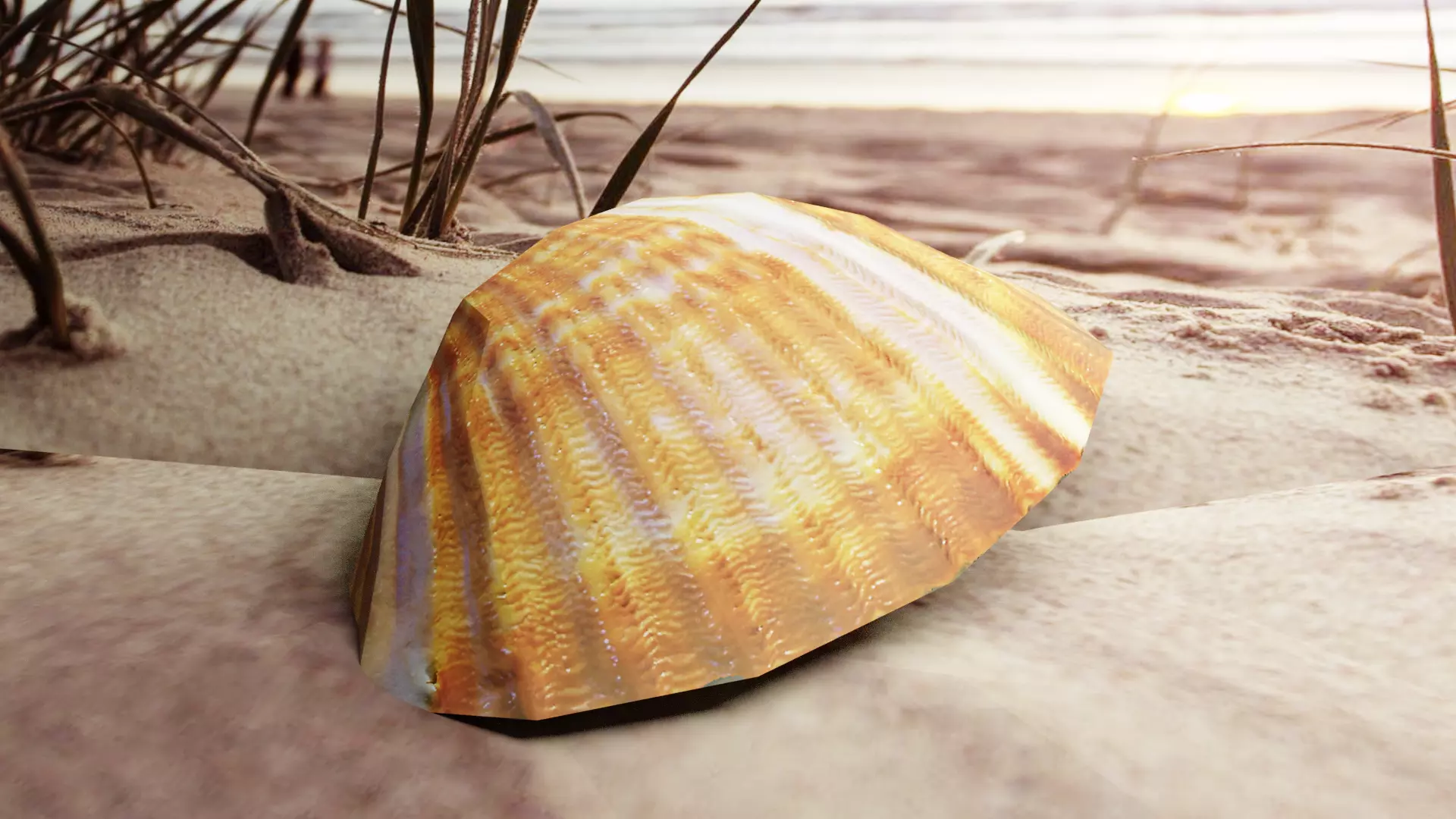 3D-Scanned Seashells - Set of 6 Seashells Low-poly 3D model