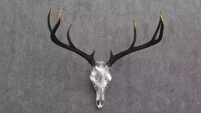 Deer Skull Mount Low-poly 3D model