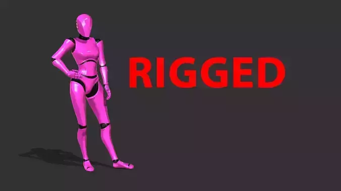 Female Robot Rigged Low-poly 3D model Female Robot Rigged Low-poly 3D model