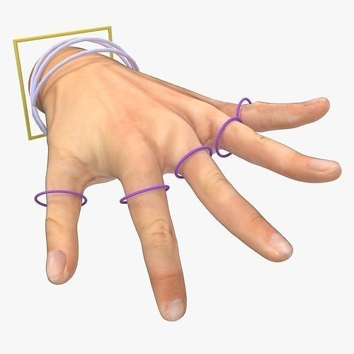 Hand Rigged with poses Skin type 1 Low-poly 3D model