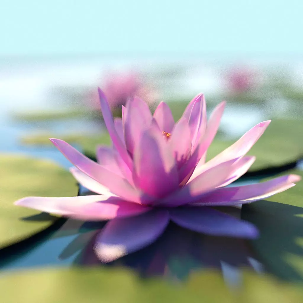 Water Lily Low-poly 3D model_0