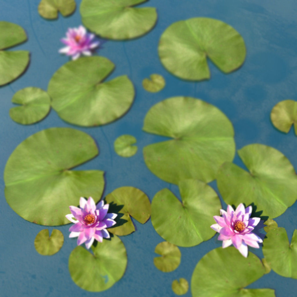 Water Lily Low-poly 3D model_1