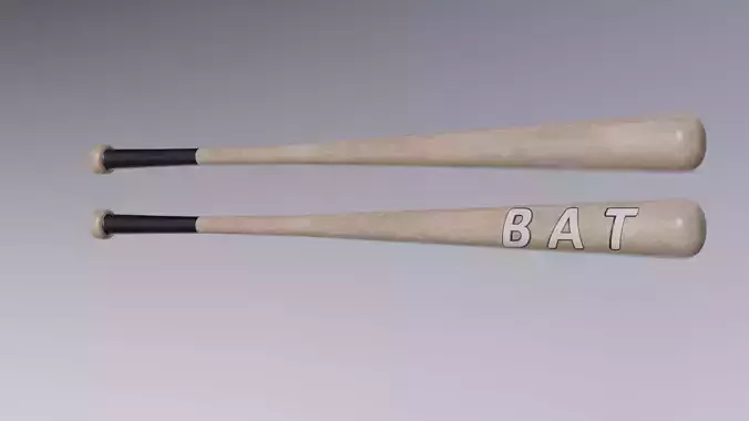  Baseball Bat