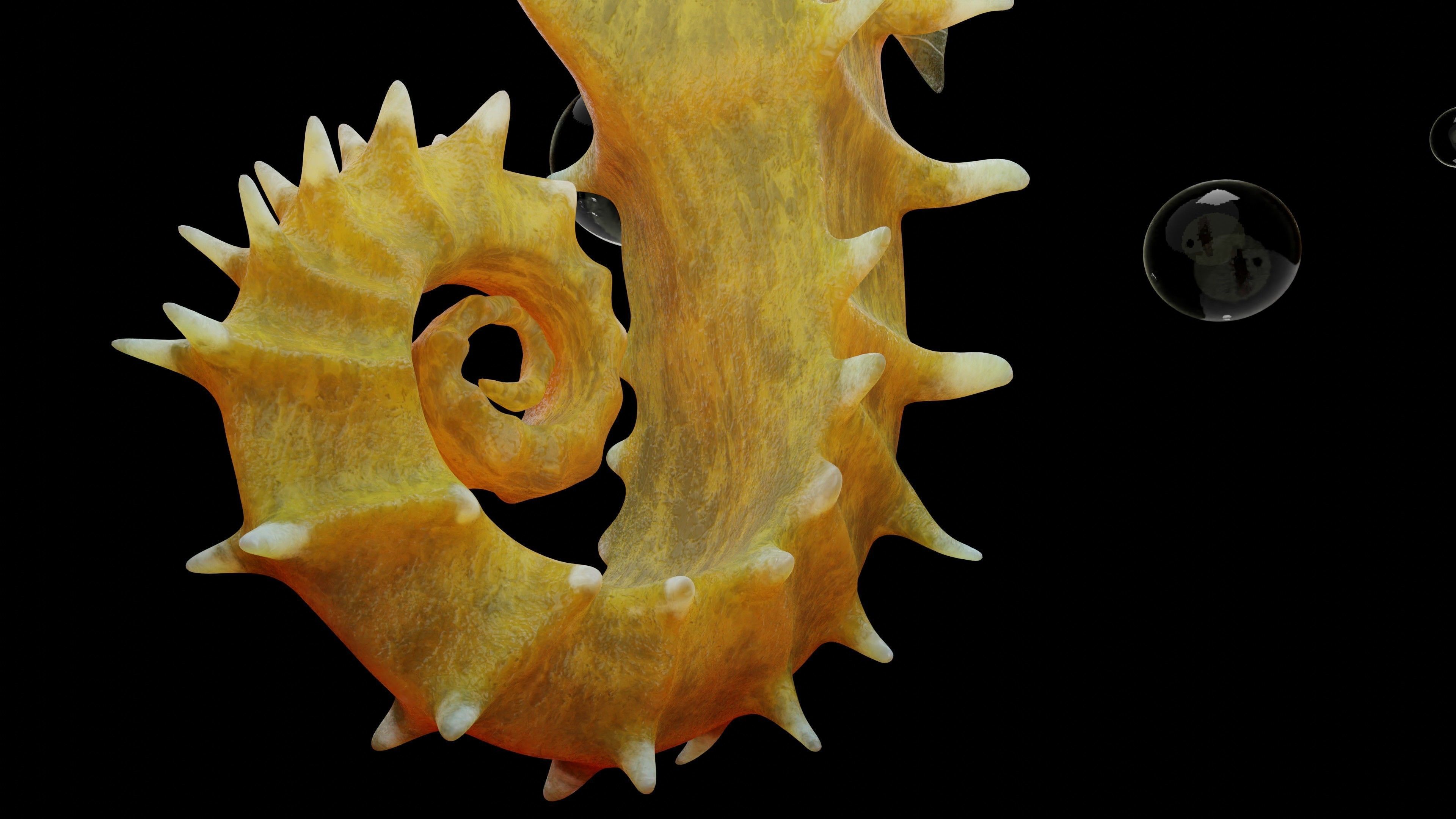 Sea horse 3D model_4