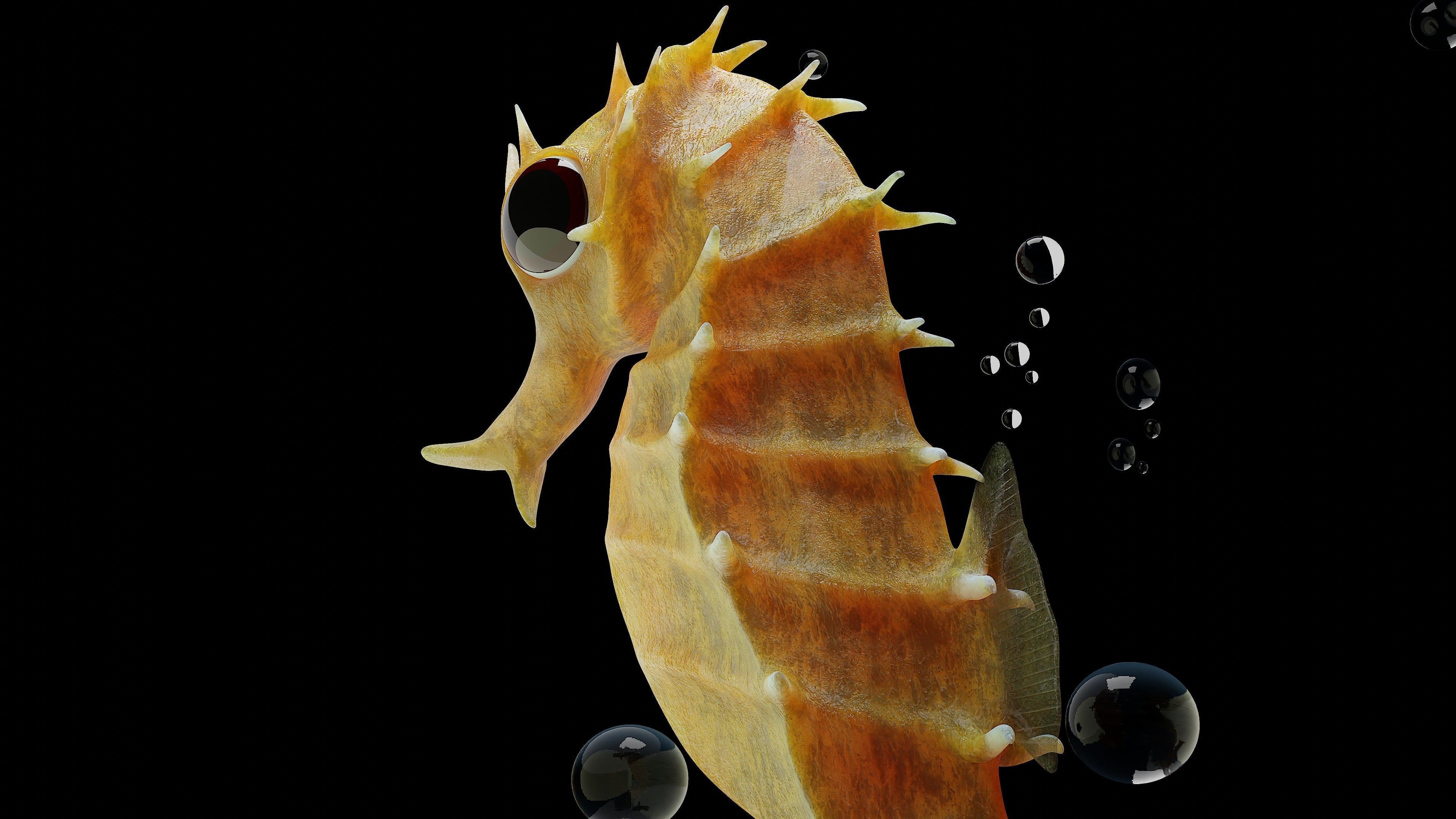 Sea horse 3D model_1