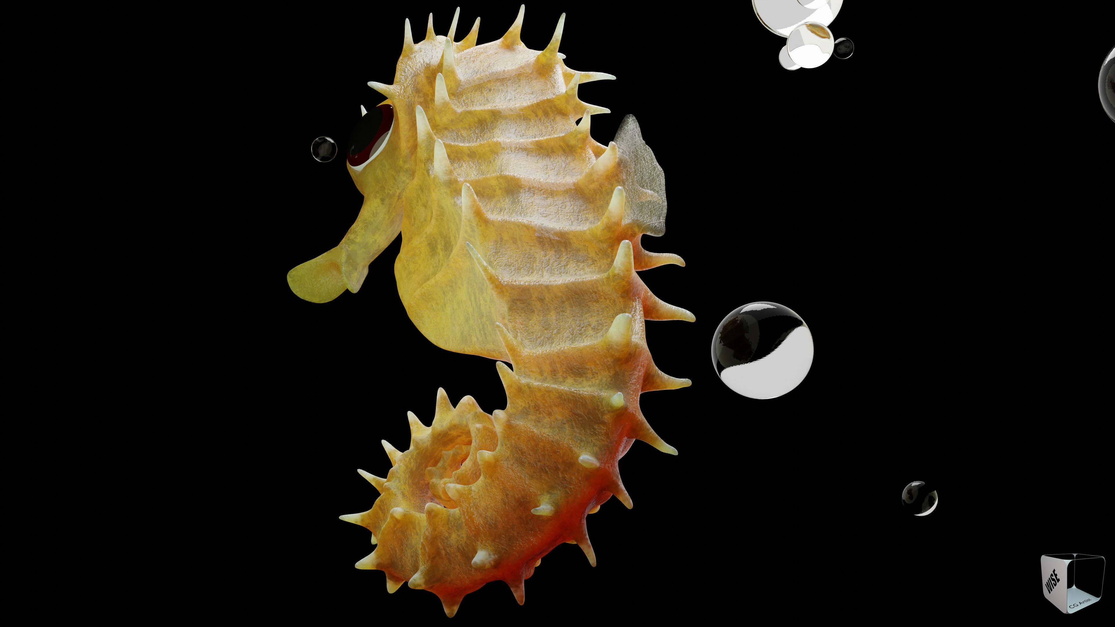 Sea horse 3D model_3