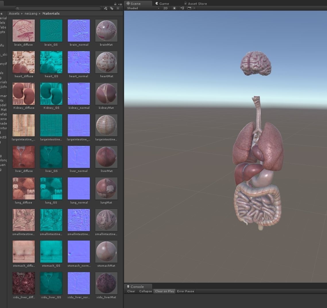Internal organs Low-poly 3D model_1