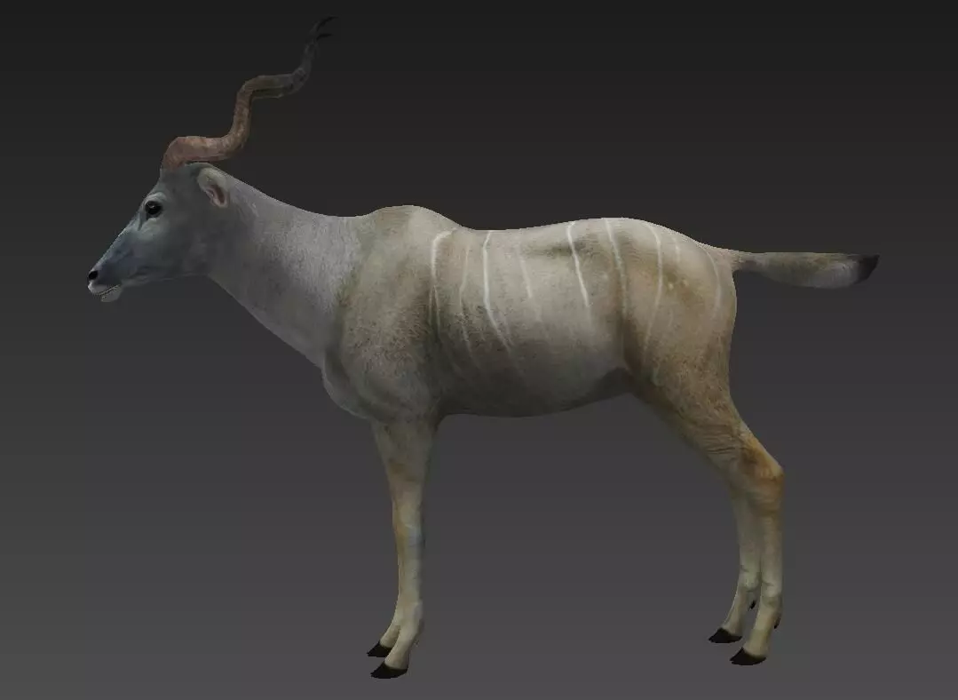 antelope Low-poly 3D model_0
