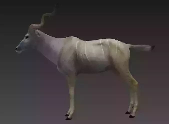 antelope Low-poly 3D model