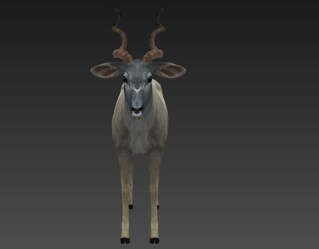 antelope Low-poly 3D model_3