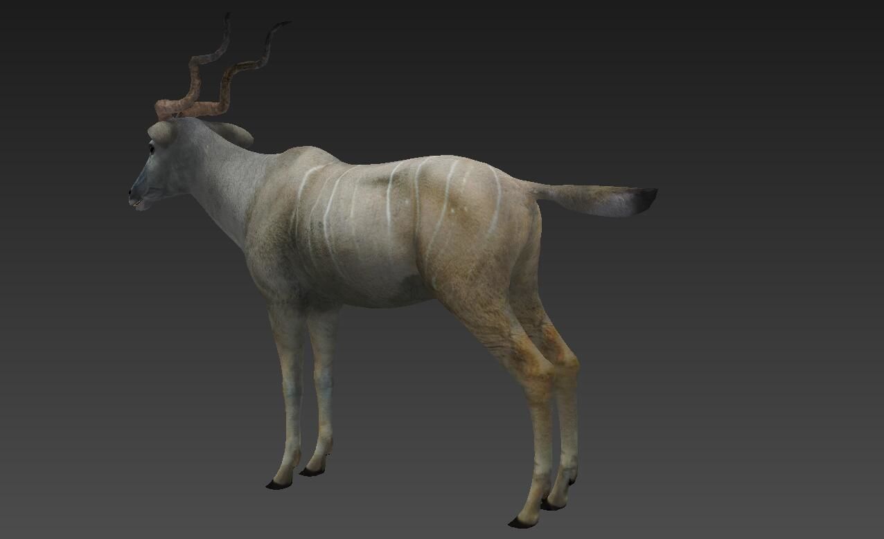 antelope Low-poly 3D model_1
