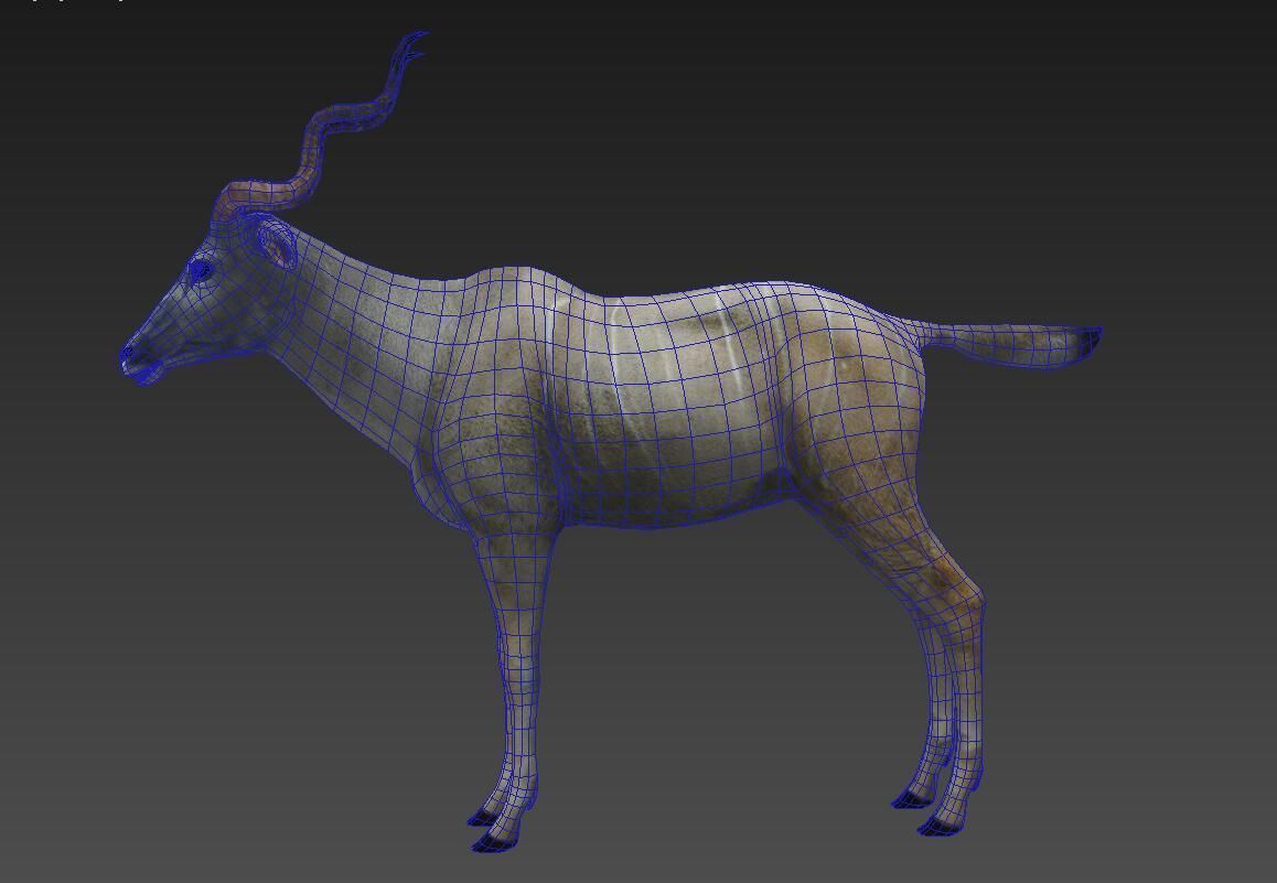 antelope Low-poly 3D model_4
