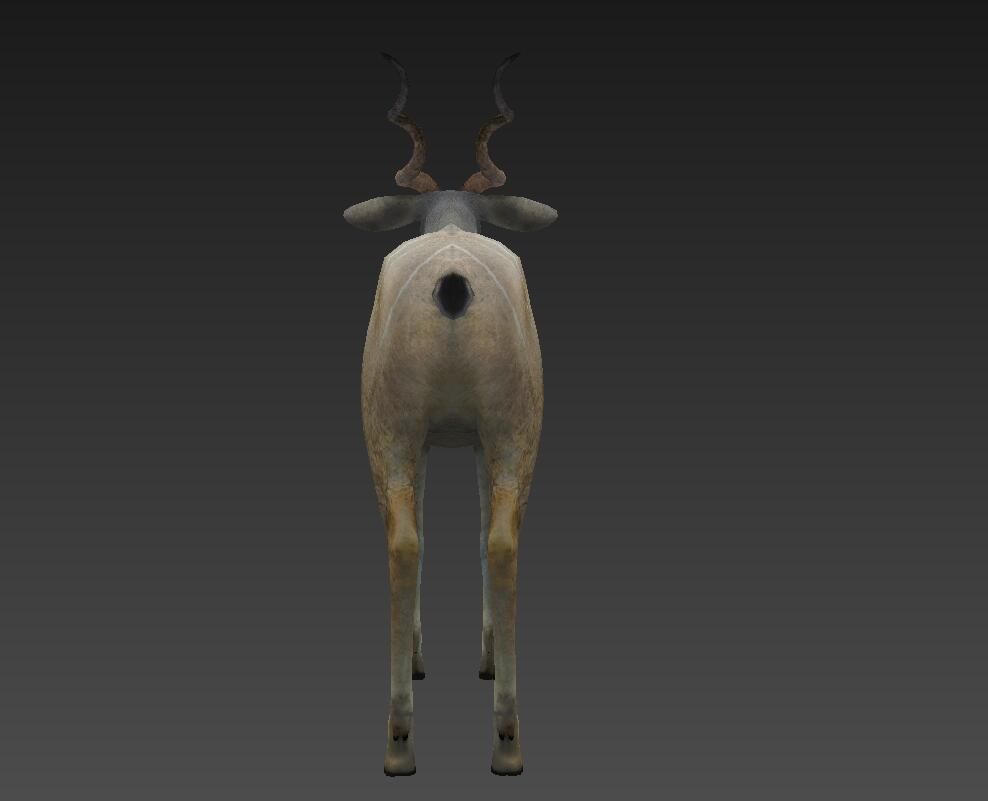 antelope Low-poly 3D model_2