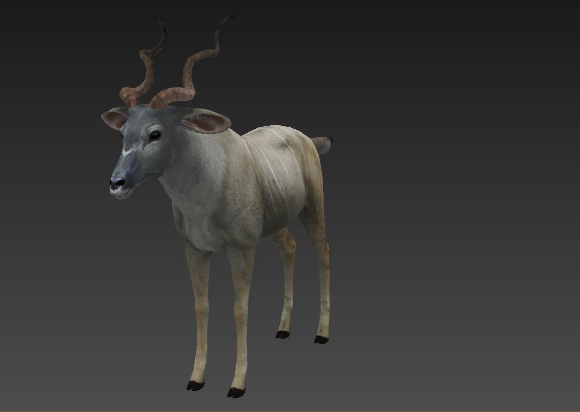 antelope Low-poly 3D model_5