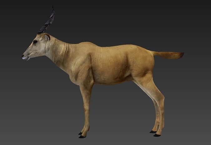 antelope Low-poly 3D model