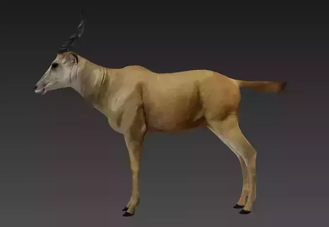 antelope Low-poly 3D model