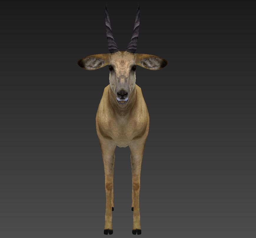 antelope Low-poly 3D model_5