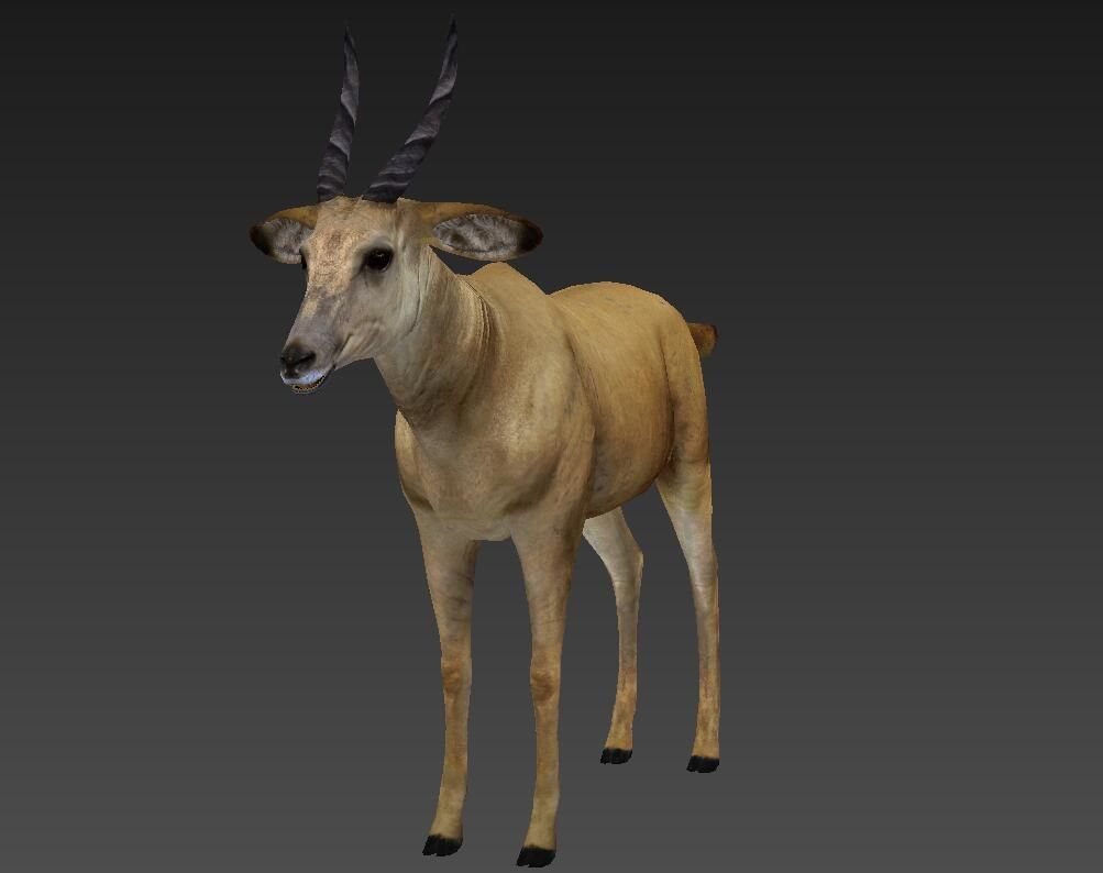 antelope Low-poly 3D model_4