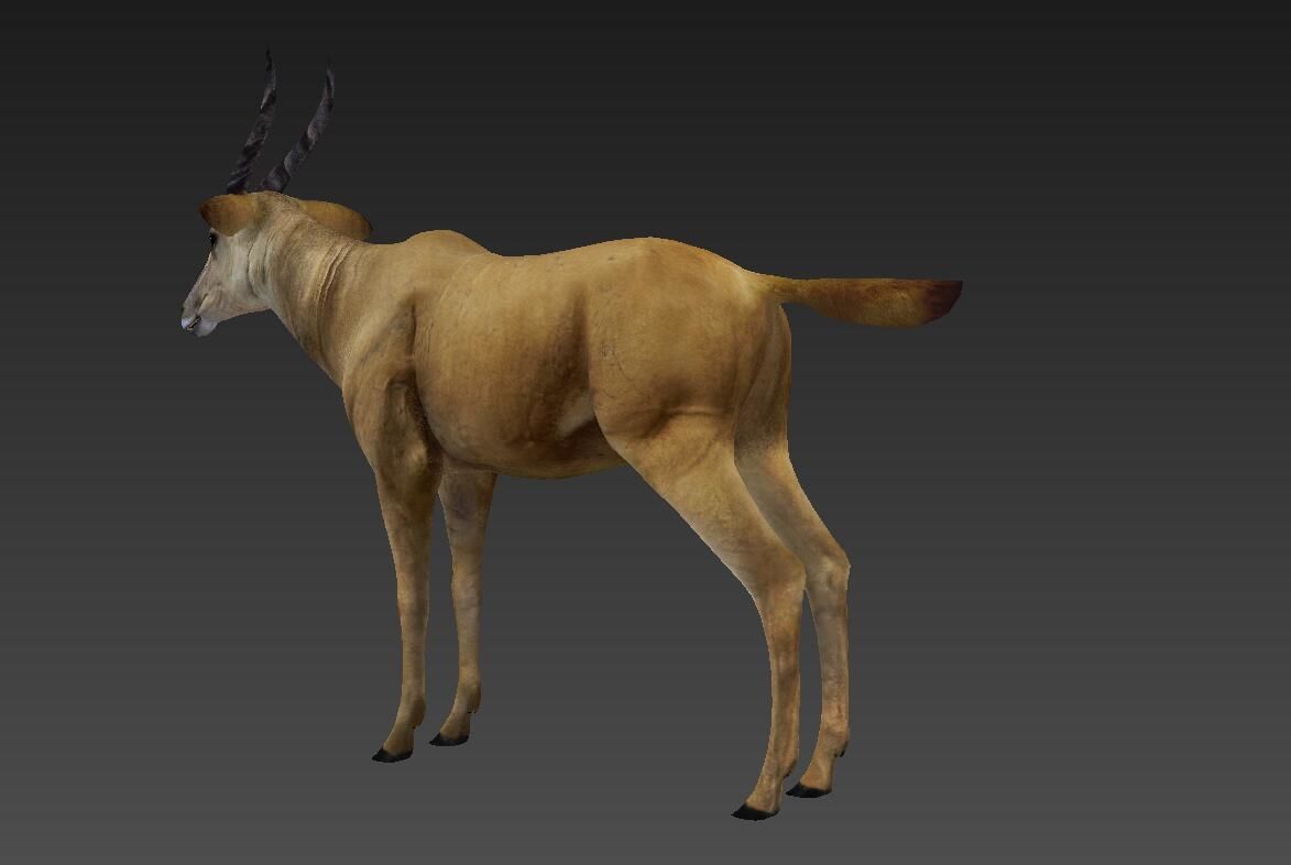 antelope Low-poly 3D model_2