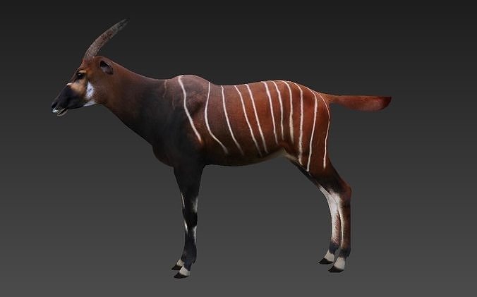 antelope Low-poly 3D model