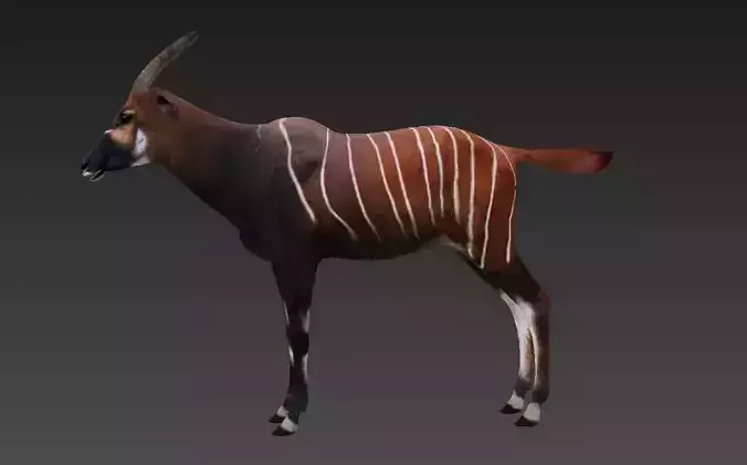 antelope Low-poly 3D model