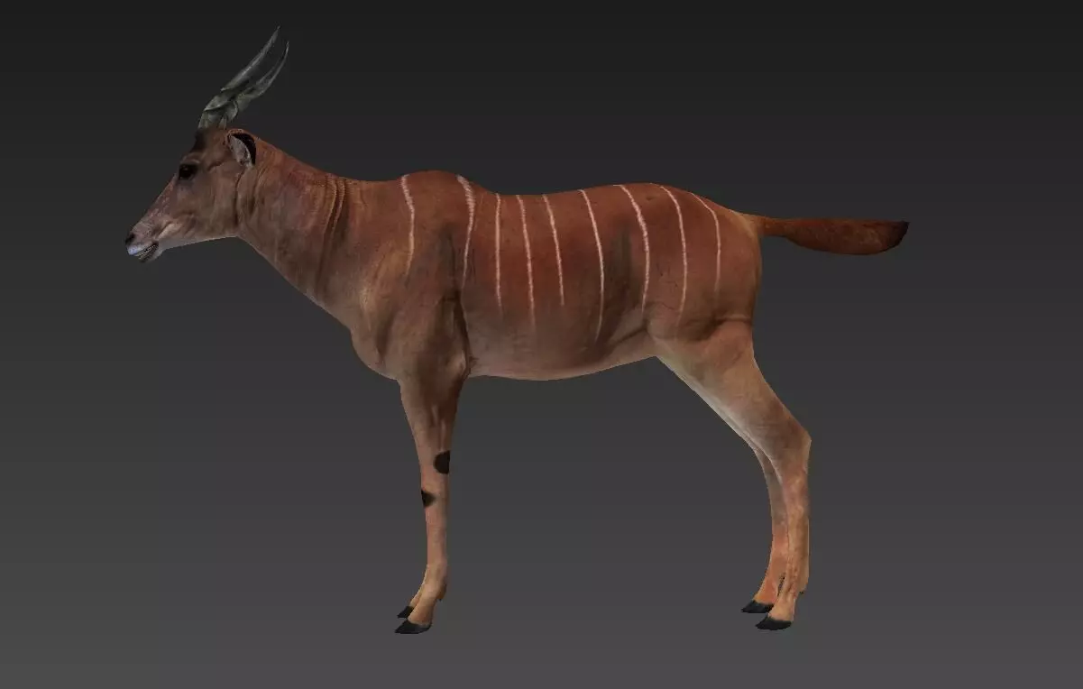 antelope Low-poly 3D model_0