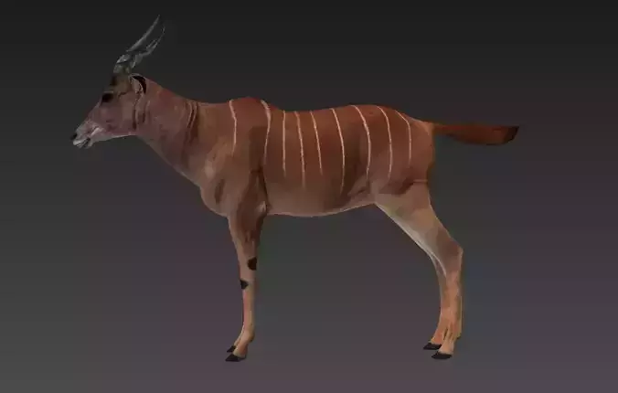 antelope